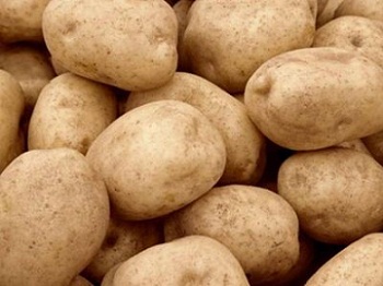 ΠΑΣΟΚ: Σε απόγνωση οι παραγωγοί πατάτας