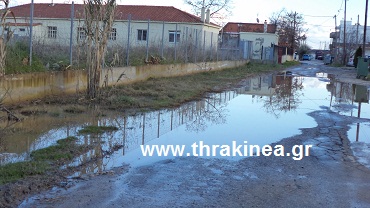 Τα παπάκια λείπουν