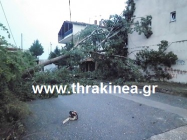 Τώρα: Πτώσεις δέντρων από την καταιγίδα στην Ορεστιάδα